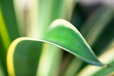 《维斯塔利亚传说2：希尔瓦比西之圣剑》上线Steam 支持简体中文